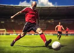 费兰展望,夺冠梦与鲨,鱼共游,太阳城,太阳城娱乐,太阳城app,太阳城赌场